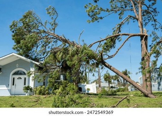 The Reinsurance Market Is Tightening: Your Home Insurance Premium Will Reflect It | CoverageCheckr